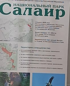 Салаир.